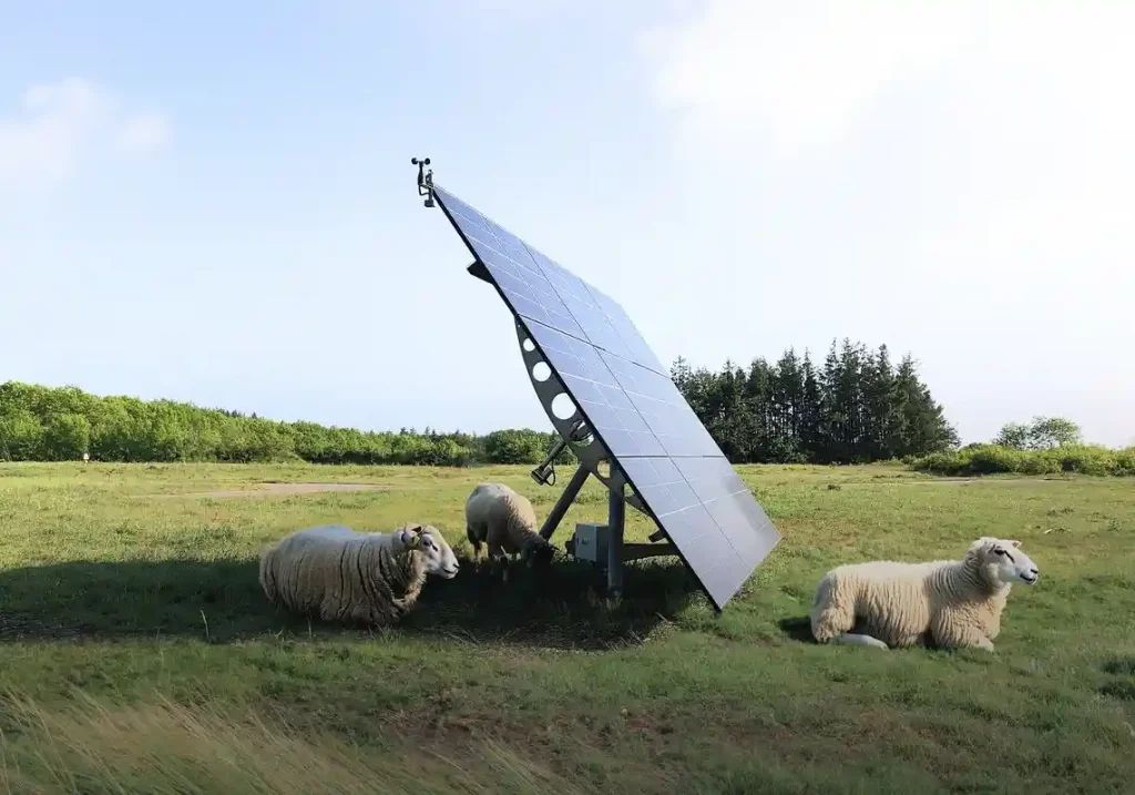 Solartracker auf einer Freifläche umgeben von Schafen